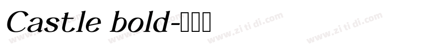 Castle bold字体转换